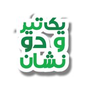 یک تیر و دو نشان